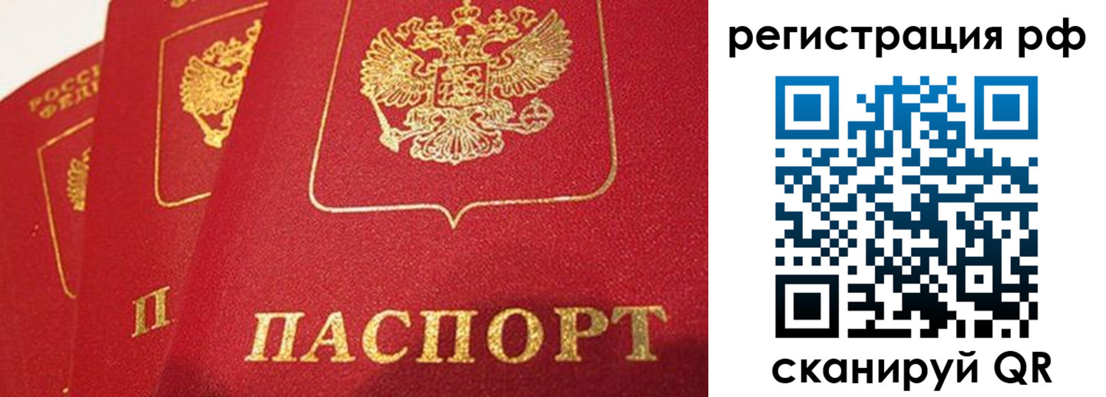 прописка поиск в Дагестанских Огнях